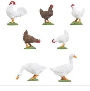 Pola 331896 Chickens & Geese